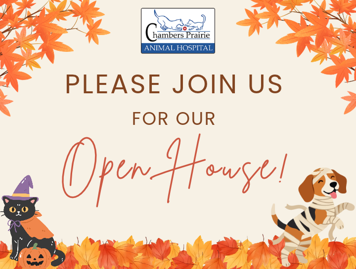 You're Invited to Our Open House!
